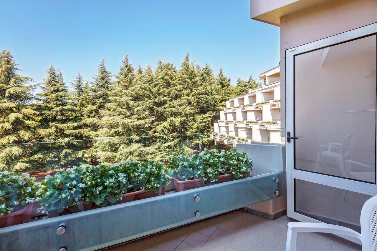 Classic Room Balcony Park Side