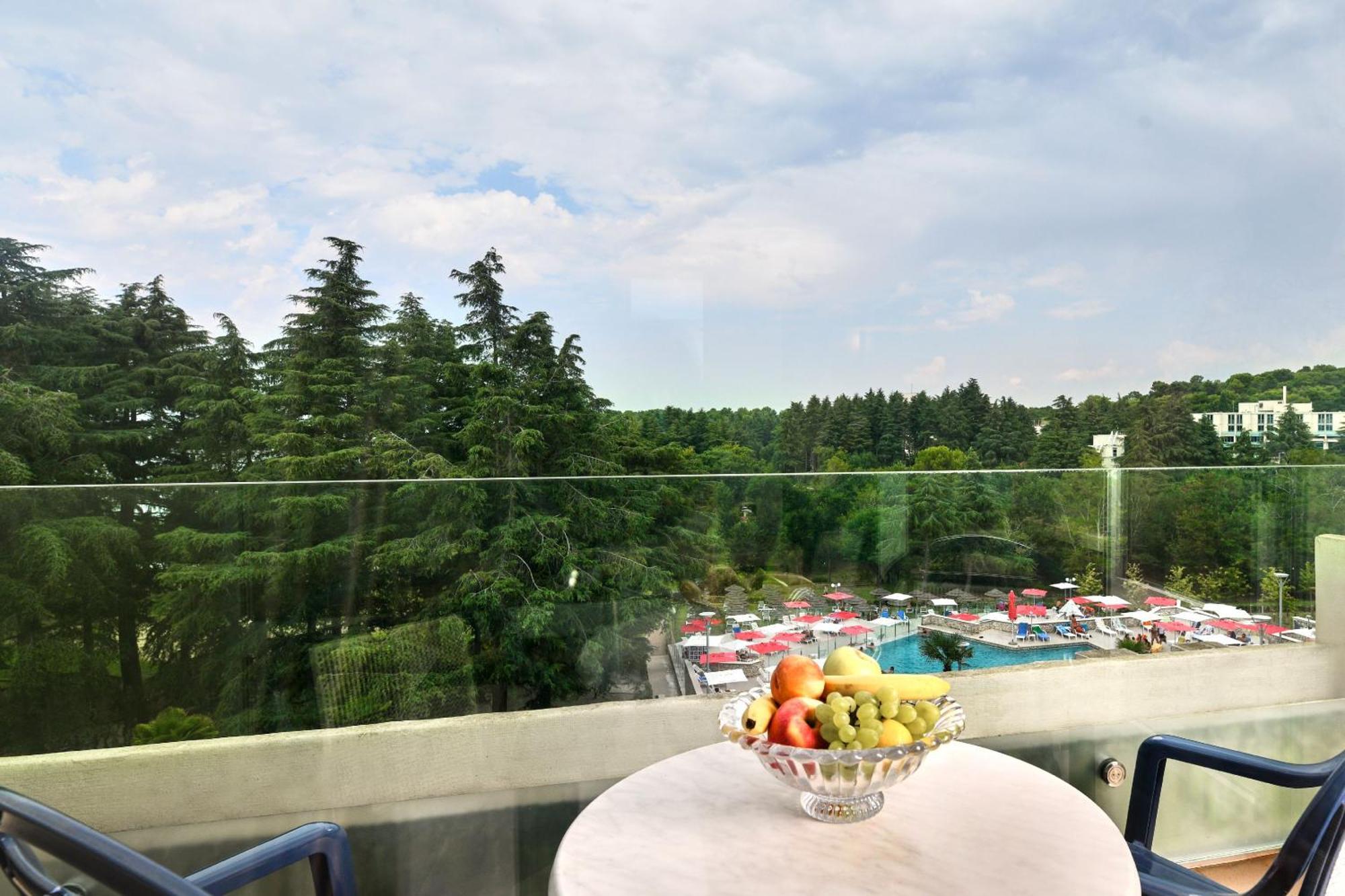Classic Single Room Balcony Park Side